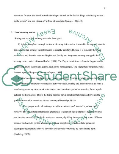 The Concept of Human Memory