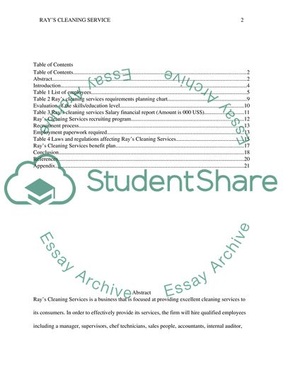 Rays Cleaning Services Paper