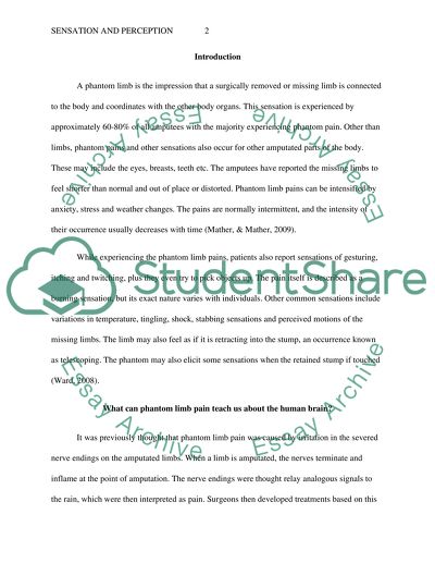 Sensation and Perception: Phantom Limb Pain