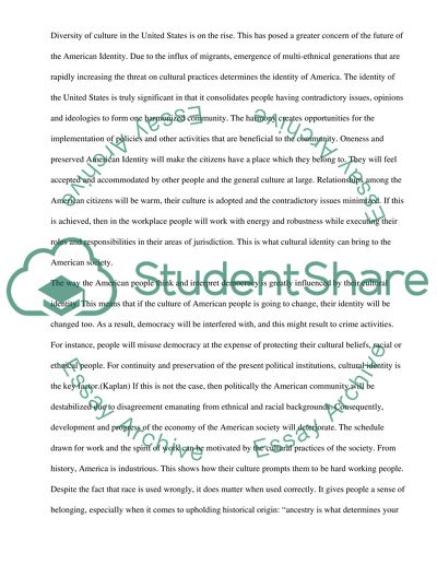 Cultural Identity on American Society