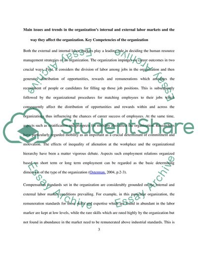 The Organizations Internal and External Labor Markets