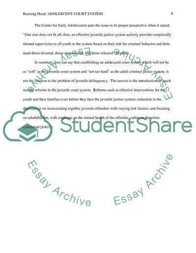 Is There a Need for a Separate Adolescent Court System