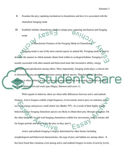 Foraging Behavior among the Chameleon Species