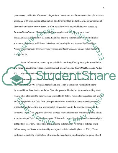Thesis In A Essay Examples Of Thesis Statements For English Essays also Sample Essay Paper Clinical Science Essay Example Topics And Well Written A Thesis For An Essay Should