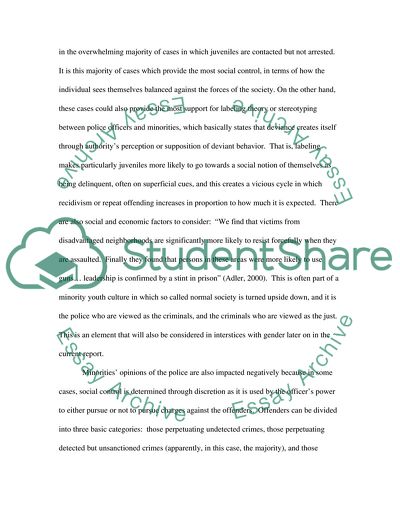 Theories on Race and Gender Affiliation