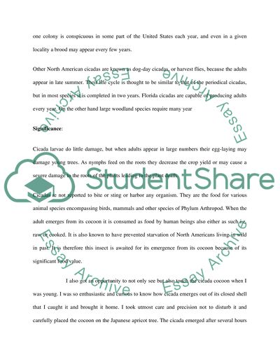 Cicadas Larva Becomes Cicada