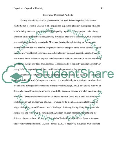 Experience-dependent plasticity