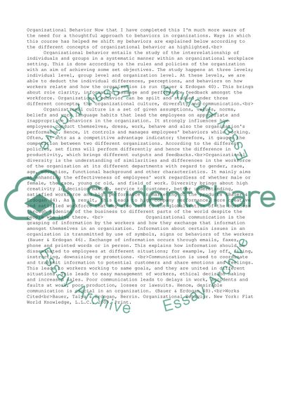 Organizational Behavior