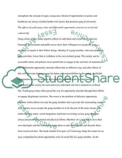 Is youth gang crime the result of differential opportunity structure