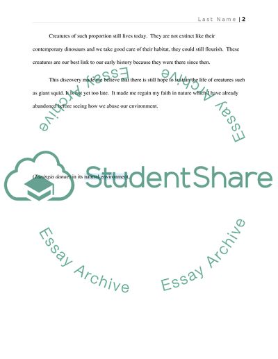 Discovery of Giant Squid in Ogasawara Islands