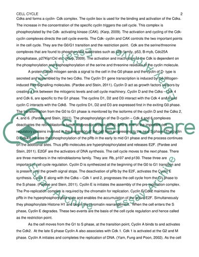 Cell Cycle Progression: A Coordinated Act of Cyclins, Cdks and Checkpoints
