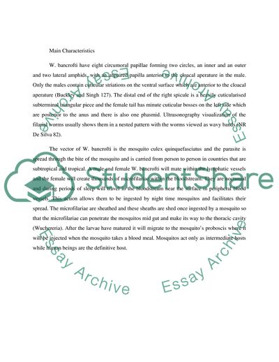 Main Characteristics of Wuchereria Bancrofti