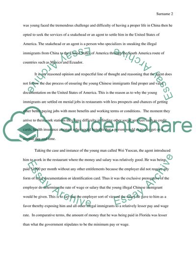 Young Generation Illegal Chinese Immigrants in the US