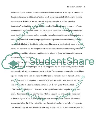 Homer Construction on the Human Experience