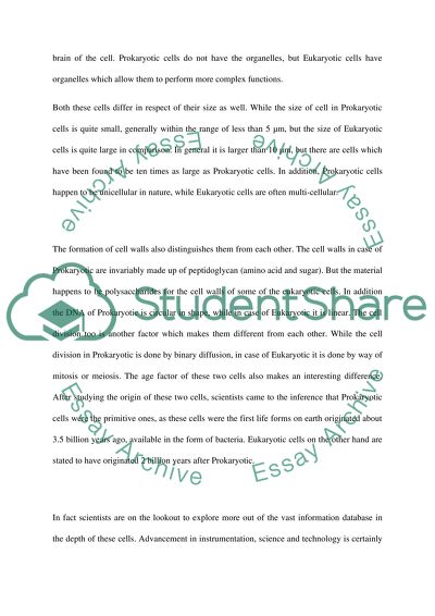 Eukaryotic cells essay image