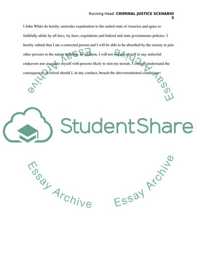 Criminal Justice Scenerio