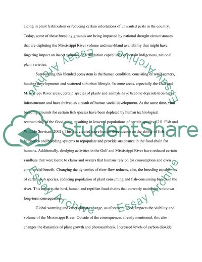 Environments and Ecosystems