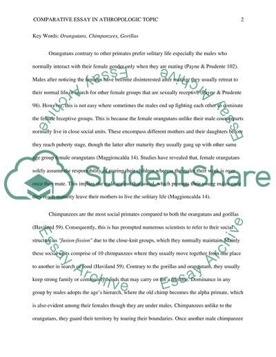 Anthropologic Comparison Of Orangutans, Gorillas, And Chimpanzees