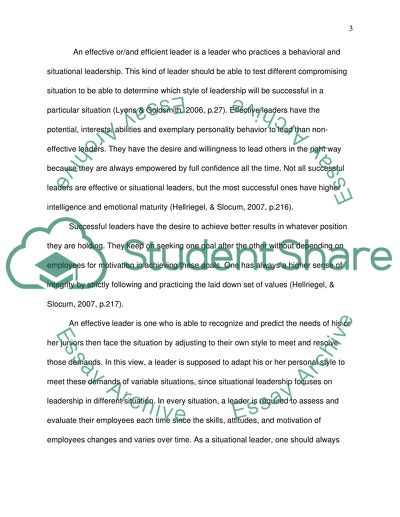 Situational Leadership Issues