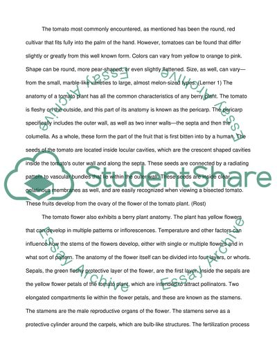 The tomato is an important food in many cultures and modern cuisines