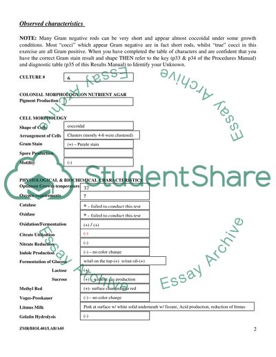 The Identification of Bacteria