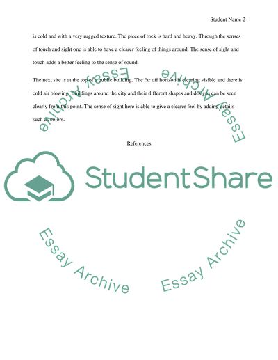 PROGRAMMING AND CULTURE CLASS IN ARCHITECTURE