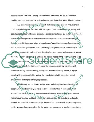 Reflection on a View of Adult Literacy as Social Practice