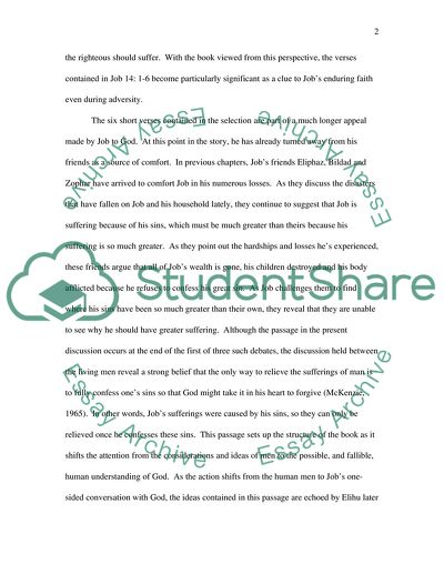 The Book of Job Commentary