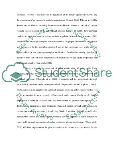 The Maintenance of Homeostasis in a Constantly Regenerating Population of Cells