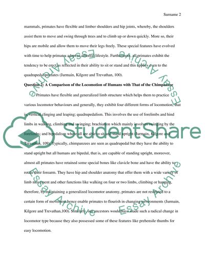 Anthropology: The Dentition Of A Human