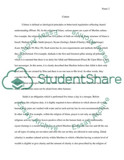 The Culture and Social Structure of an Organization