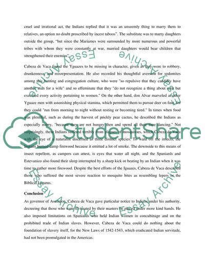 Alvar Nuez Cabeza de Vaca: Texas Campaign