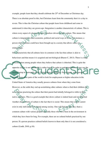 Culture as One of the Major Aspects of a Social Unit