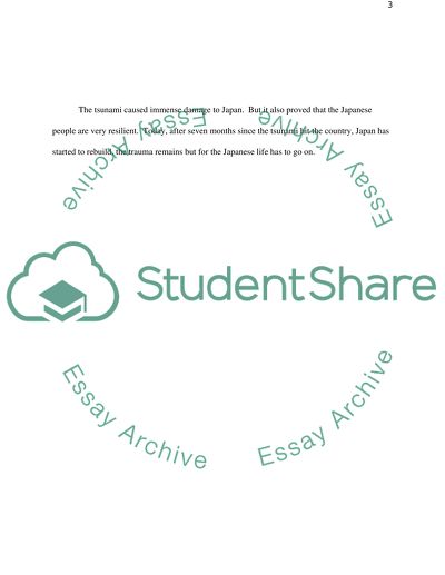 The Tsunami that Devastated Japan