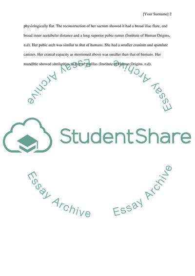 Human Skeleton of Australopithecus Lucy