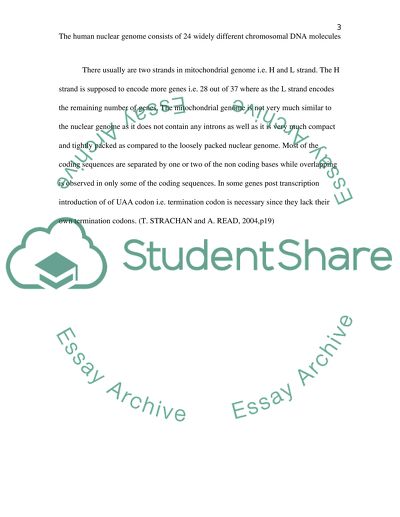 The Human Nuclear Genome Consists of 24 Widely Different Chromosomal DNA Molecules