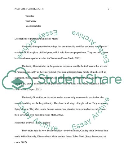 Persistence, Prevalence and Emergence Patterns of Pasture Tunnel Moth