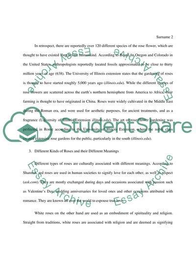 Significance of the Rose in Human Societies around the World. The origin, kinds and meaning of roses