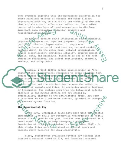 Drug Behavior and Blood Brain Barrier Permeability
