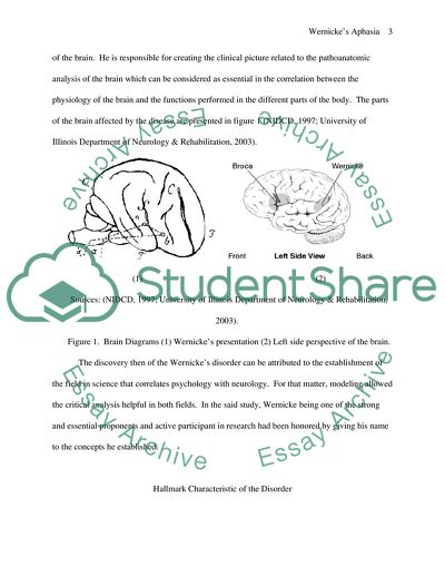 Wernickes Aphasia