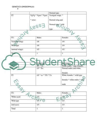 Genetics((Drosophila))