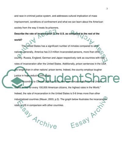 Private prisons essay image