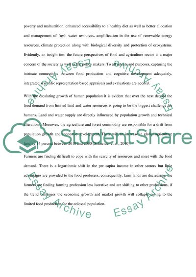 impact of population growth essay