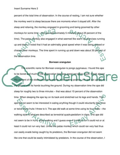 Example of an observation essay picture