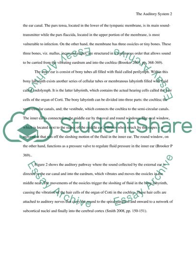 Hearing and Equilibrium