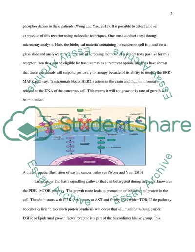 Role of the Histopathology Laboratory in Predicting the Response of Patients Tumours to Therapies