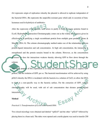 Transformation of E.coli with Plasmid DNA & GFP Purification