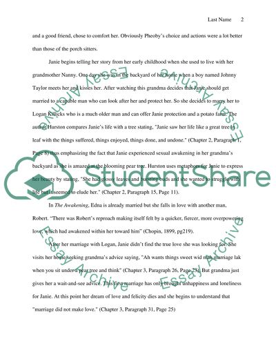 The Novel: Janie in Search of True Love