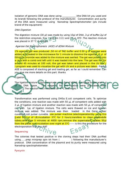 Genetic and Phenotypic Characteristics of Transposon Mutant of Pseudomonas Aeruginosa PAO1