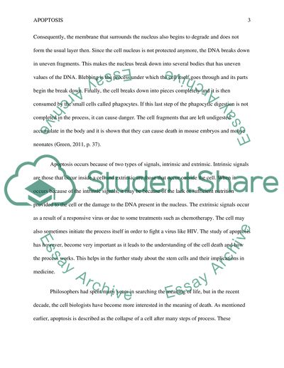 The Biological Mechanism of the Term Apoptosis